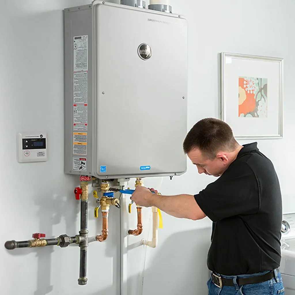 tankless water heater repair in Lydia, SC